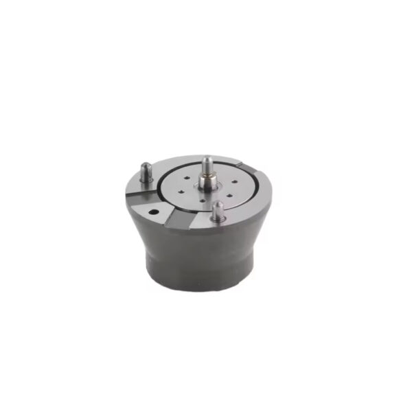 High Quality Fuel Injector Actuator Solenoid Valve 72060460 for Delphi BEBJ1A00101 EUI Diesel Injector DAF 1661060 1905002 1725282 - 图片 3